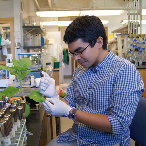 plant biology phd programs california